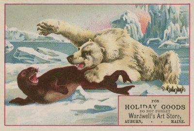Polar Bear Attacking a Seal by American School